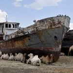boats-aral-sea