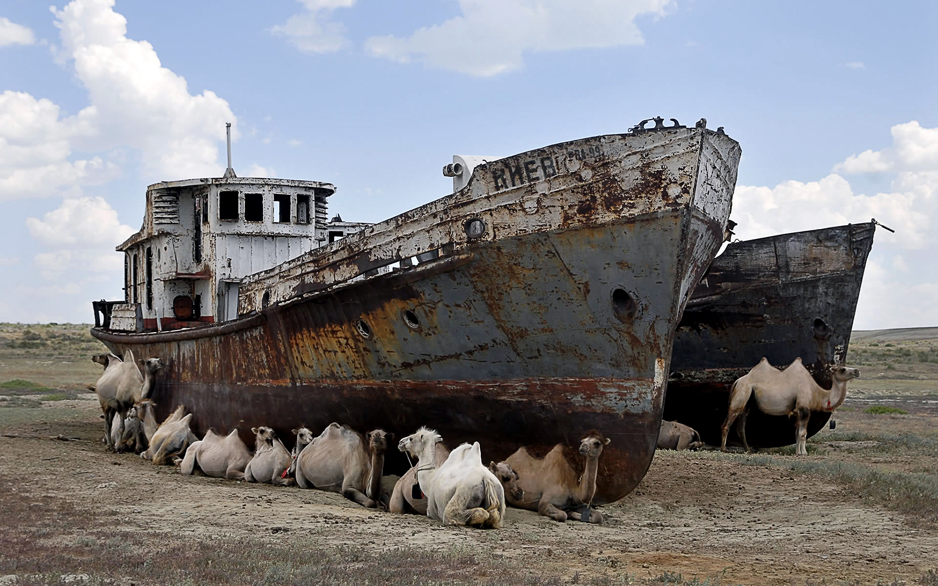 boats-aral-sea.jpg